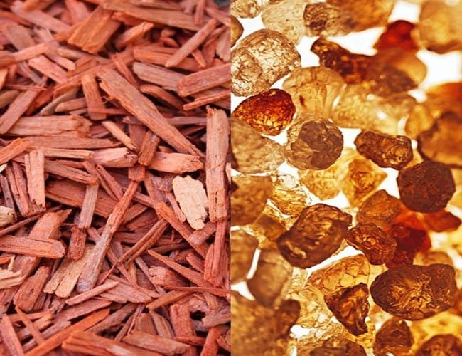 Mirisno ulje amber sandalwood