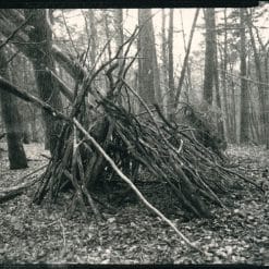 Mirisno ulje dry woods