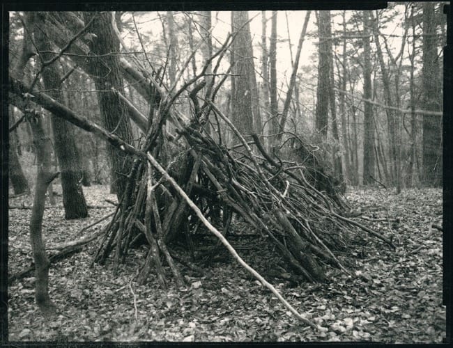 Mirisno ulje dry woods